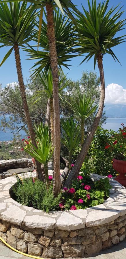 Margherita'S Holidays Home Agios Spyridon  Dış mekan fotoğraf