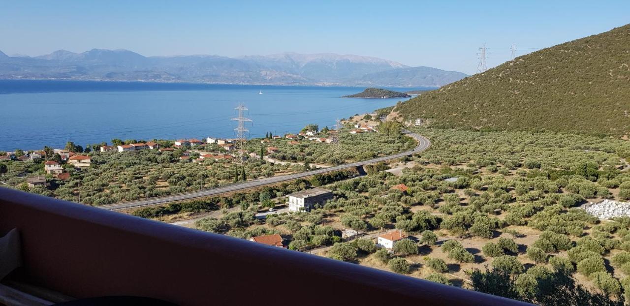 Margherita'S Holidays Home Agios Spyridon  Dış mekan fotoğraf